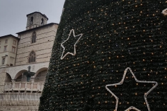 Natale2020-a-Perugia-6
